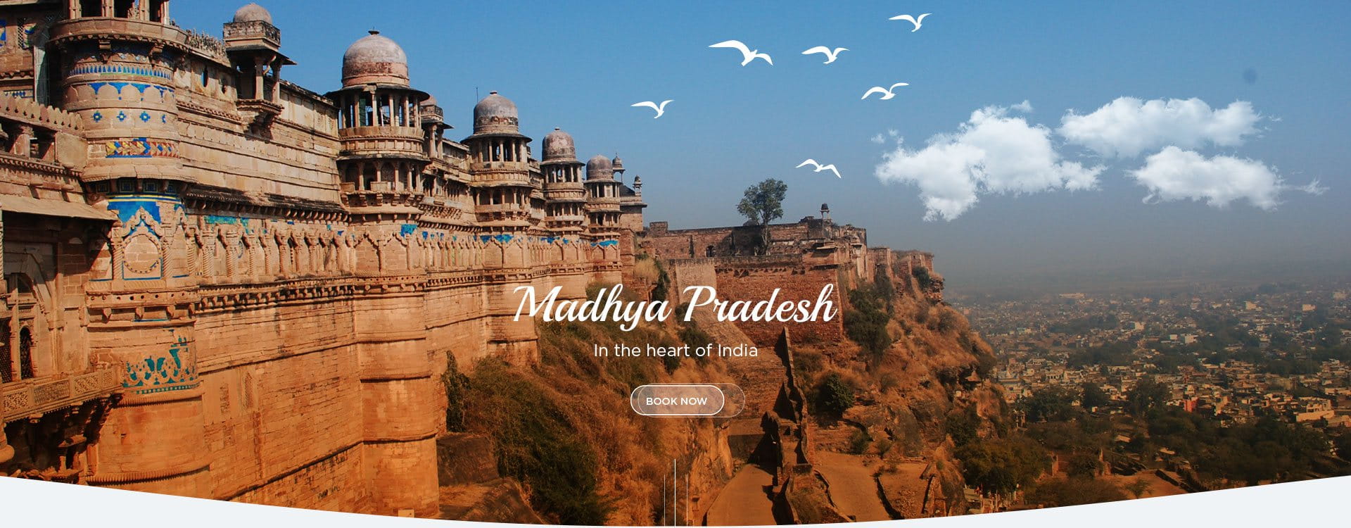Madhya Pradesh Tour Operator - Eastern Meadows Tour