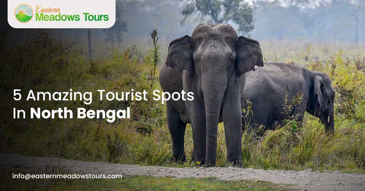 5 Amazing Tourist Spots In North Bengal