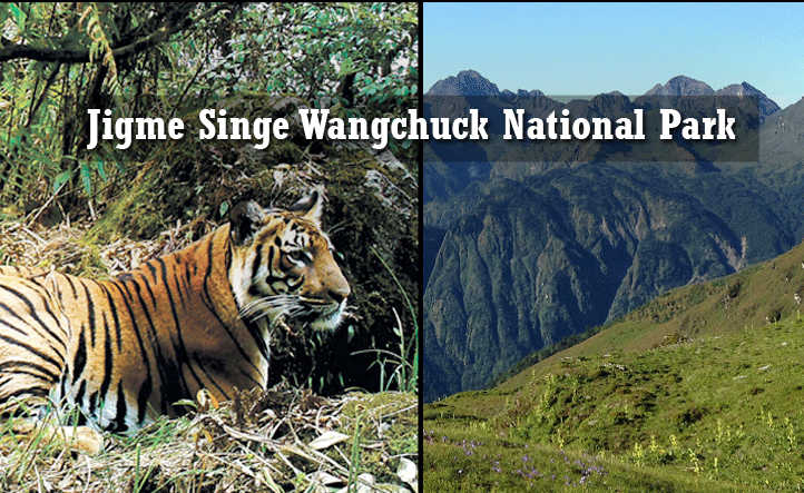 Jigme Singe Wangchuck National Park 