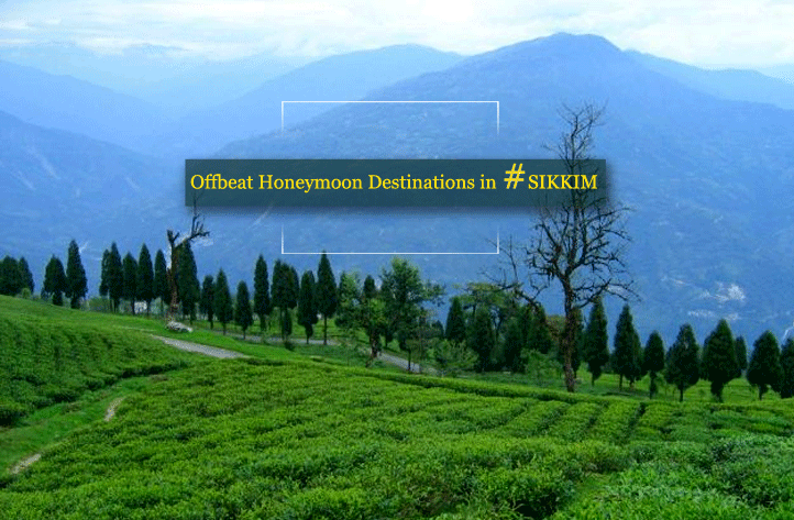 Top 11 Offbeat  Honeymoon Destinations in Sikkim