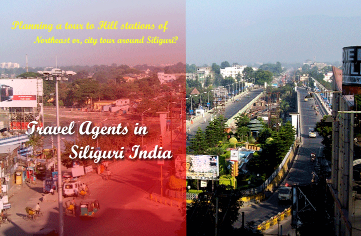 Tour and travel agency in Siliguri