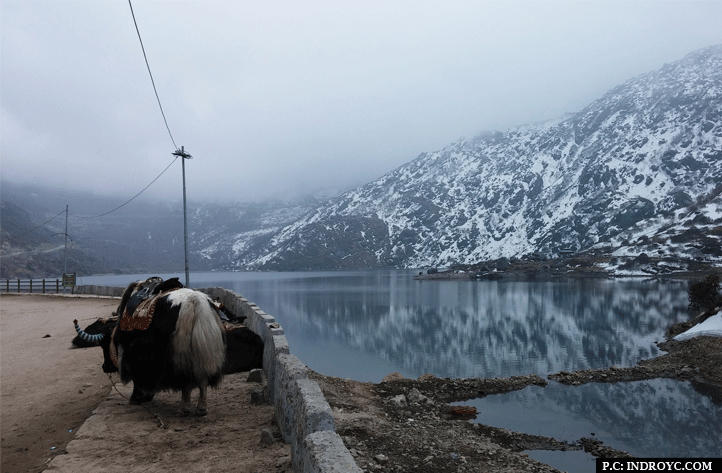 Tsomgo Lake- the mysterious and the sacred Lake 