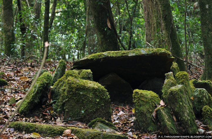 Mawphlang-Sacred-Forest