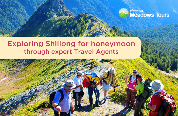 Exploring Shillong for honeymoon through expert Travel Agents