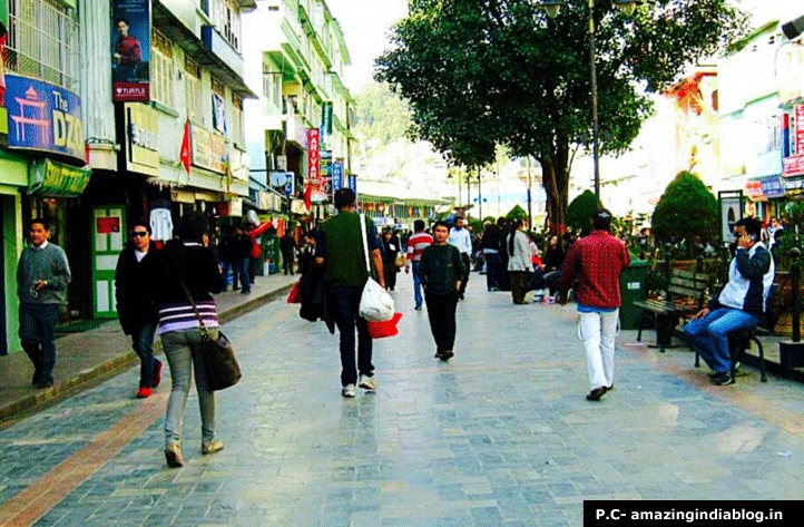 local markets of Darjeeling