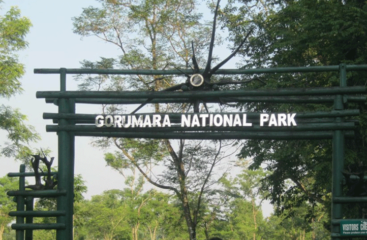 Explore the wilderness from NJP to Gorumara National Park on a shoe string budget fare