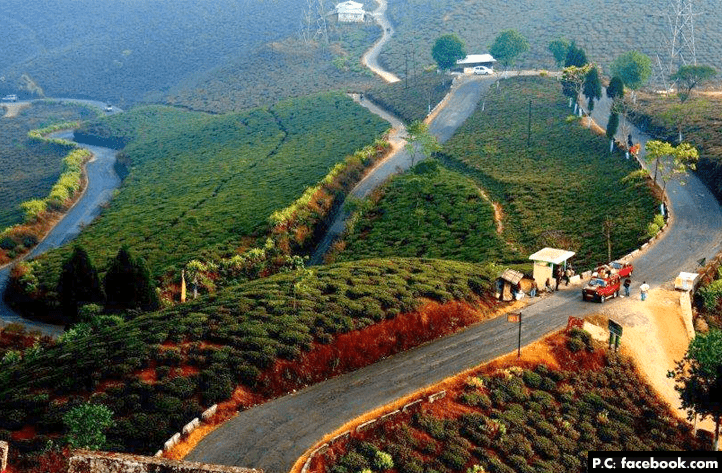 mirik