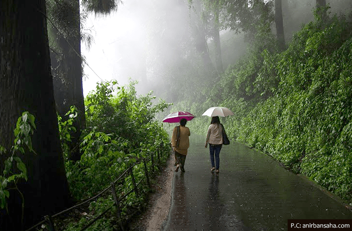 Darjeeling in Monsoon