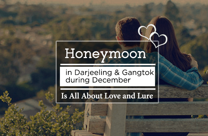 Honeymoon in Darjeeling & Gangtok during December Is All About Love and Lure