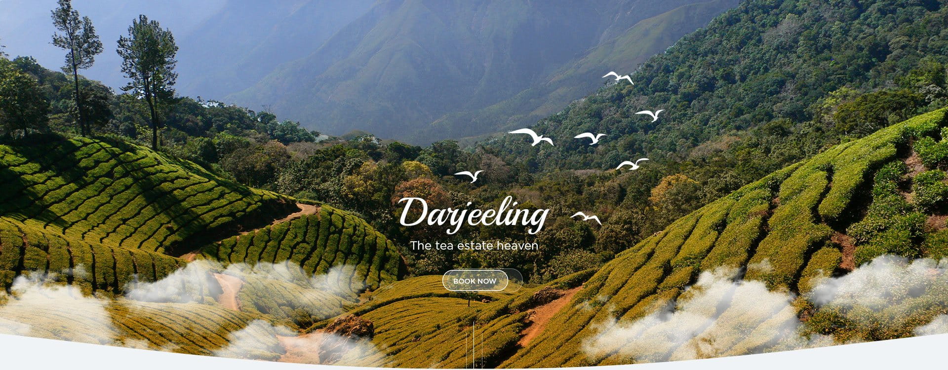 Darjeeling tours and travel agency - Eastern Meadows Tour